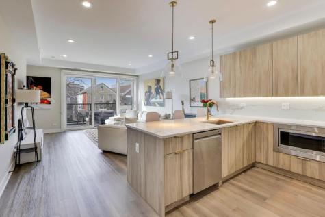 1715 South Morgan Street Chicago IL 60608