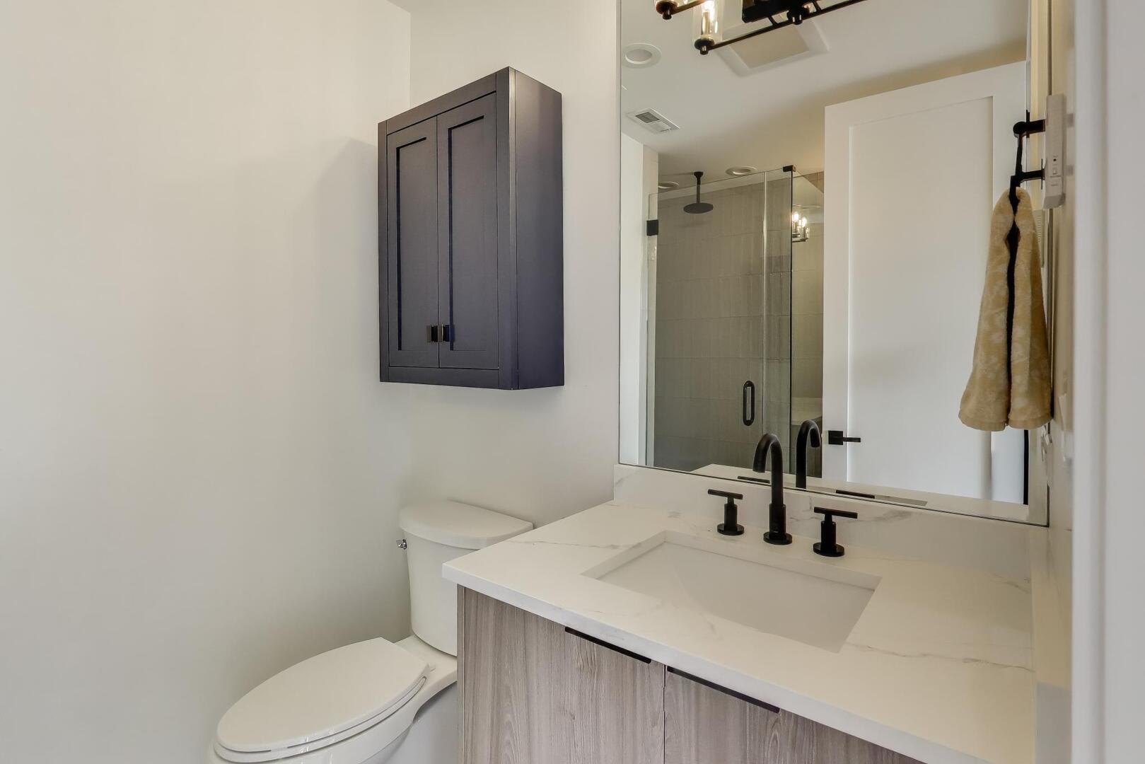 1715 South Morgan Street Chicago IL 60608