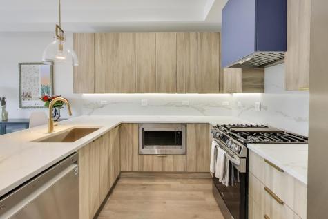 1715 South Morgan Street Chicago IL 60608