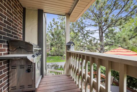 17620 Cambridge Place Tinley Park IL 60487
