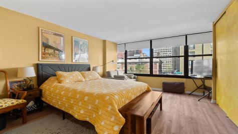 1000 North Lake Shore Drive Chicago IL 60611