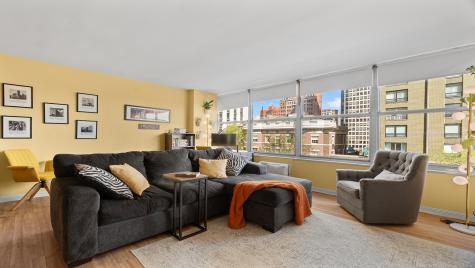 1000 North Lake Shore Drive Chicago IL 60611