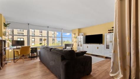 1000 North Lake Shore Drive Chicago IL 60611