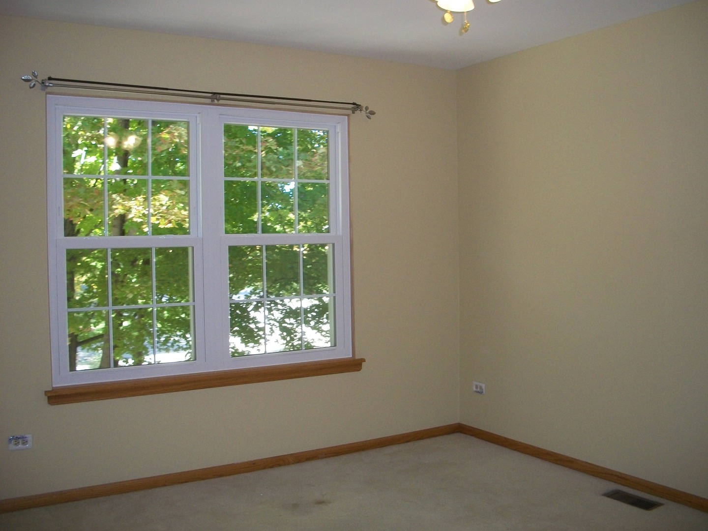 964 Elderberry Circle Naperville IL 60563