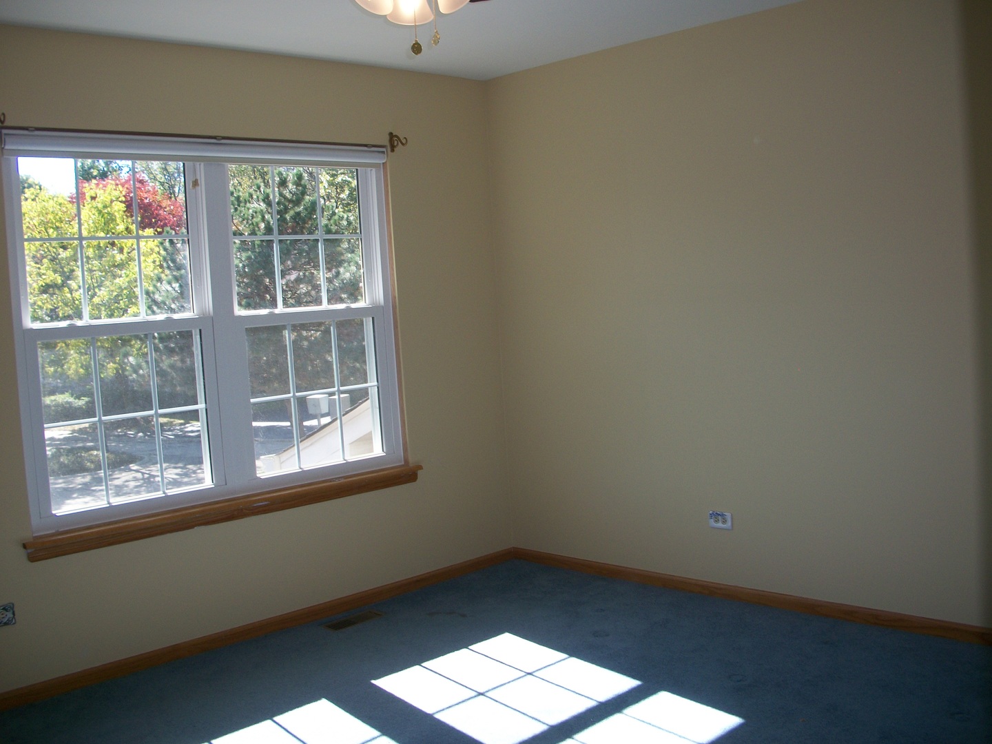 964 Elderberry Circle Naperville IL 60563