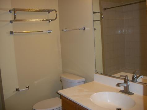 964 Elderberry Circle Naperville IL 60563