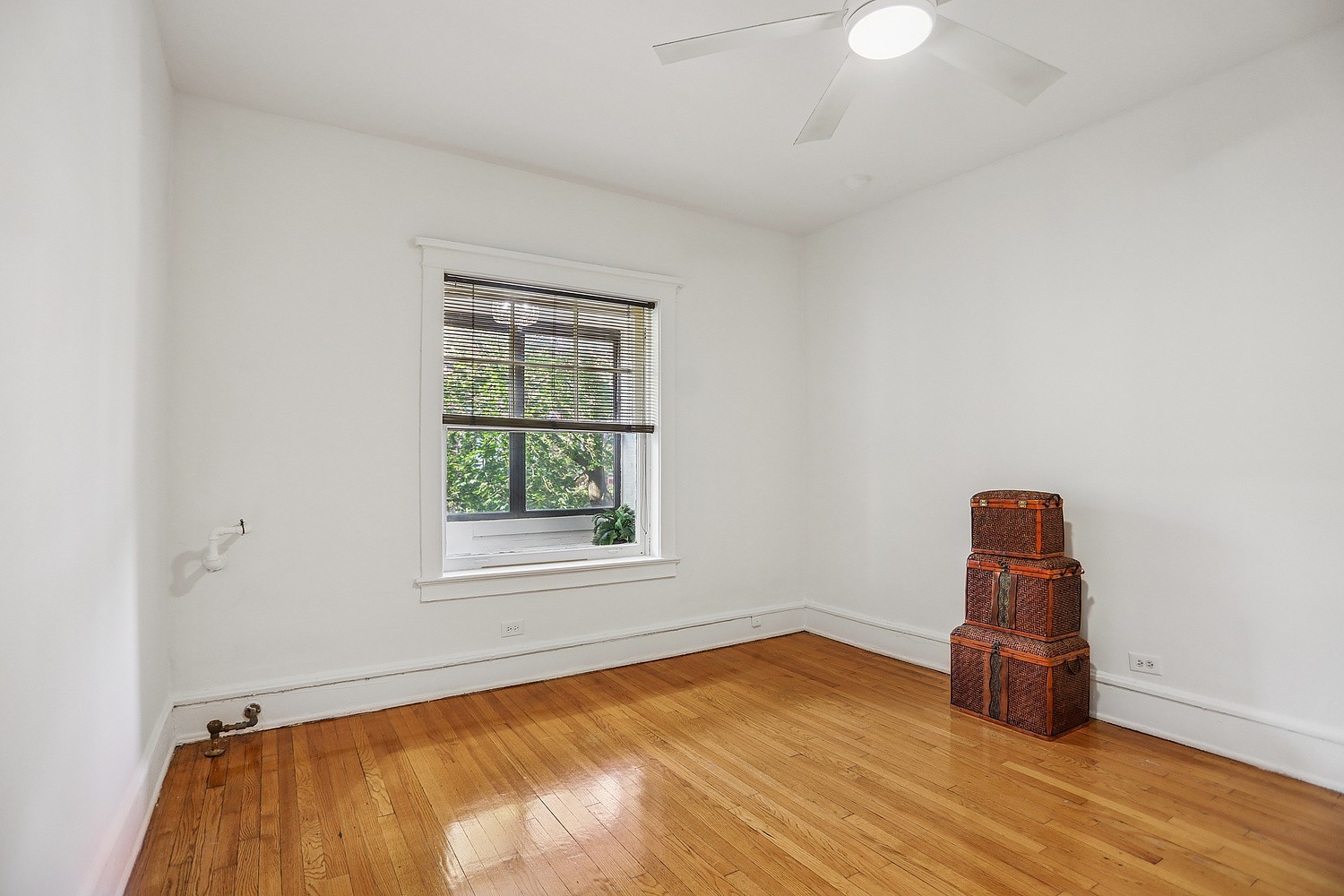 5133 South Greenwood Avenue Chicago IL 60615