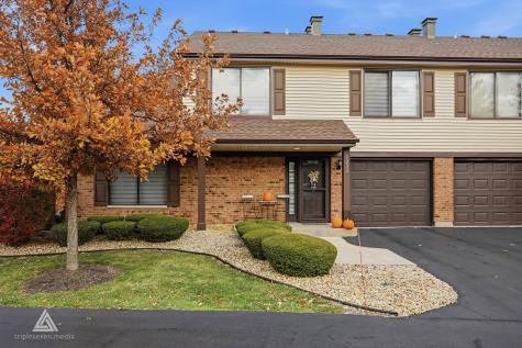 9232 Auburn Court Orland Park IL 60462