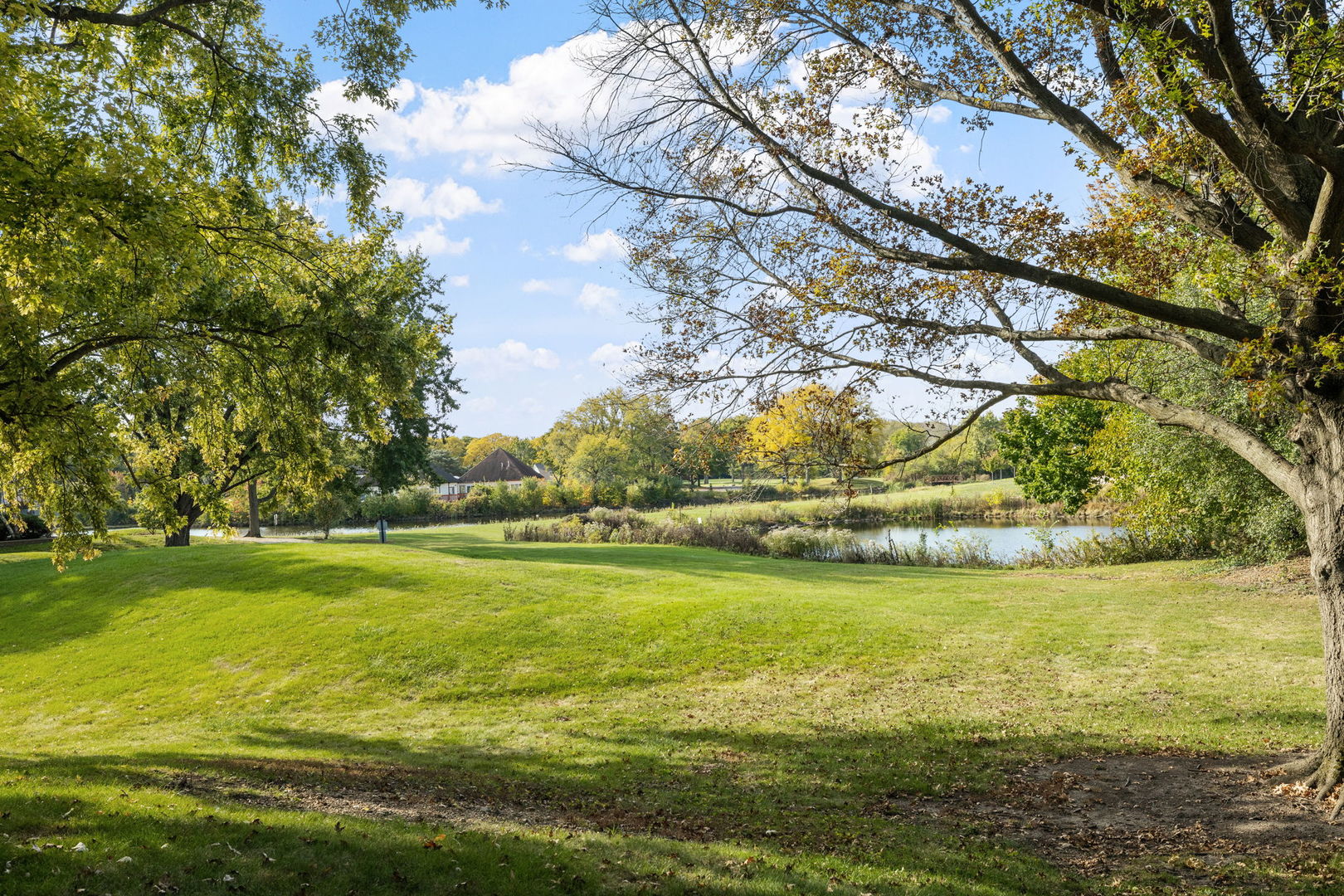 1420 Stonebridge Trail Wheaton IL 60189