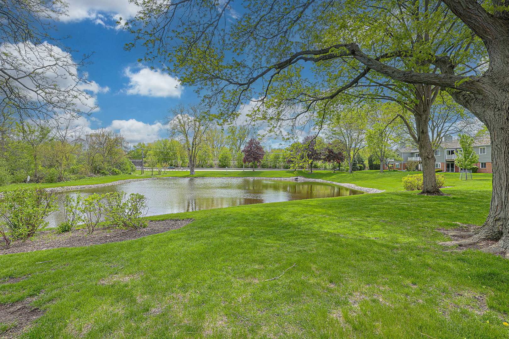 0N061 Coniston Court Winfield IL 60190