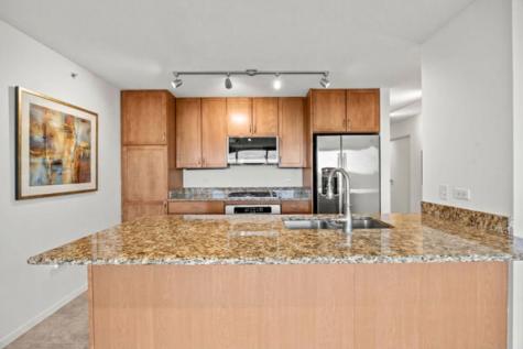 9715 Woods Drive Skokie IL 60077