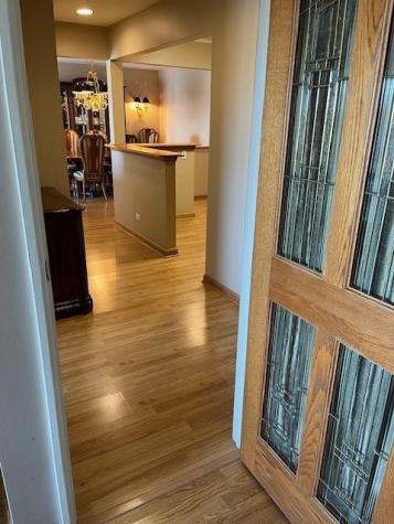 245 South Park Lane Palatine IL 60074