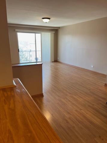 245 South Park Lane Palatine IL 60074