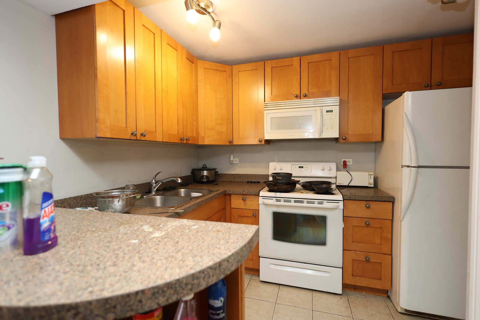 10115 Old Orchard Court Skokie IL 60076