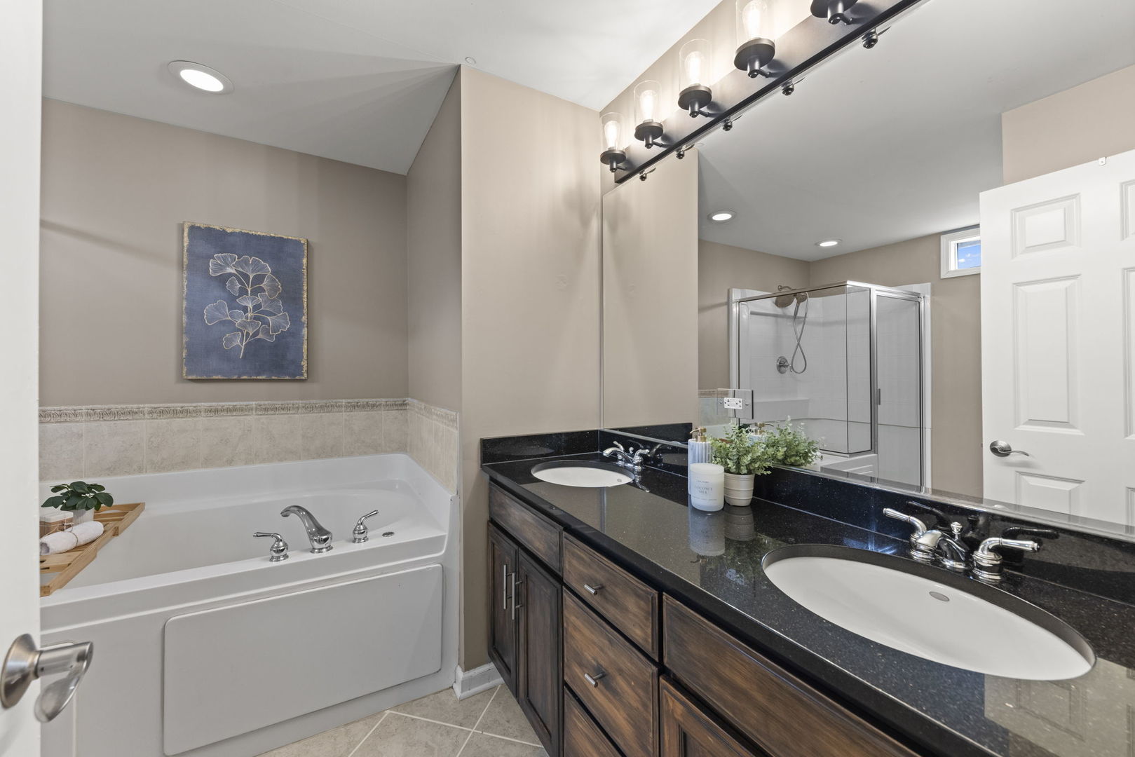 928 Shandrew Drive Naperville IL 60540