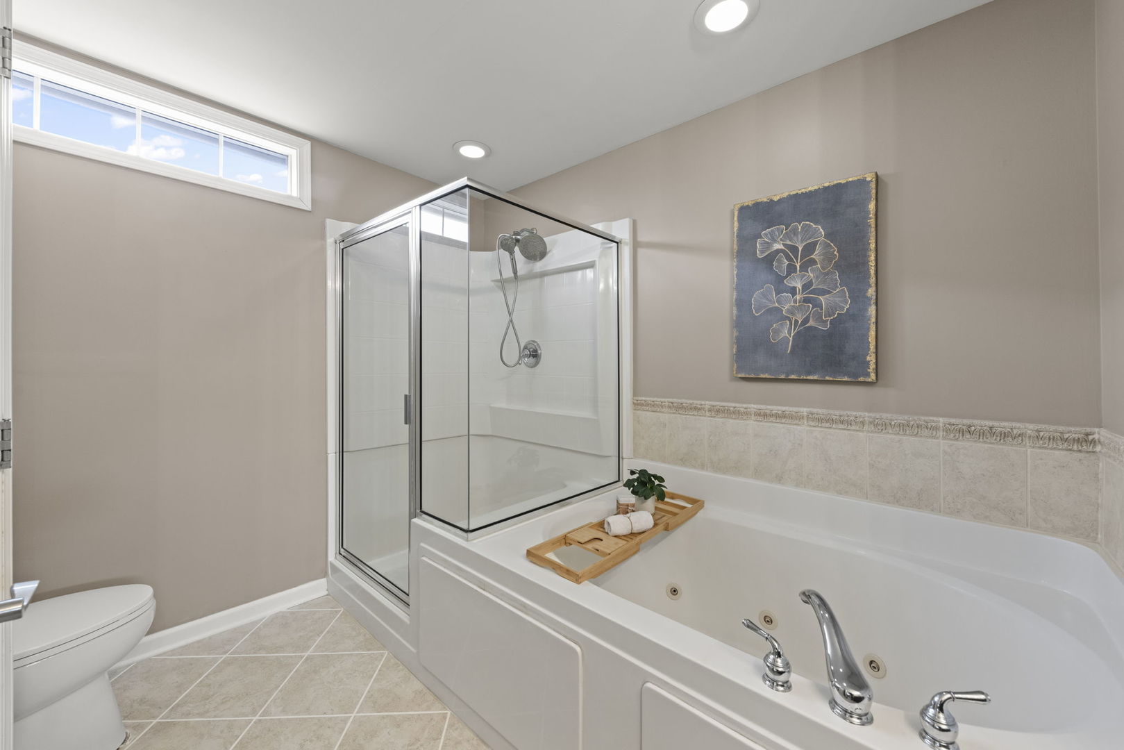 928 Shandrew Drive Naperville IL 60540