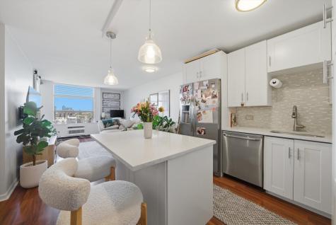 1455 North Sandburg Terrace Chicago IL 60610