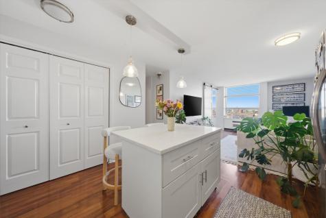 1455 North Sandburg Terrace Chicago IL 60610