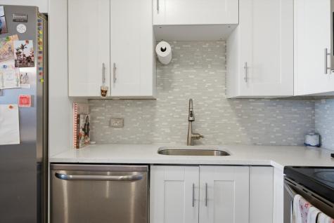 1455 North Sandburg Terrace Chicago IL 60610