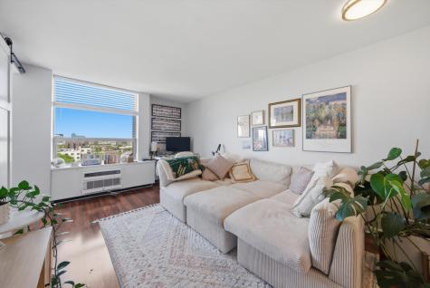 1455 North Sandburg Terrace Chicago IL 60610