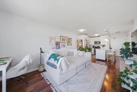 1455 North Sandburg Terrace Chicago IL 60610