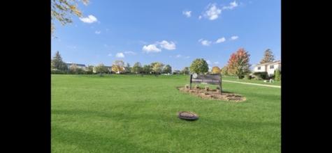 705 Tipperary Court Schaumburg IL 60193