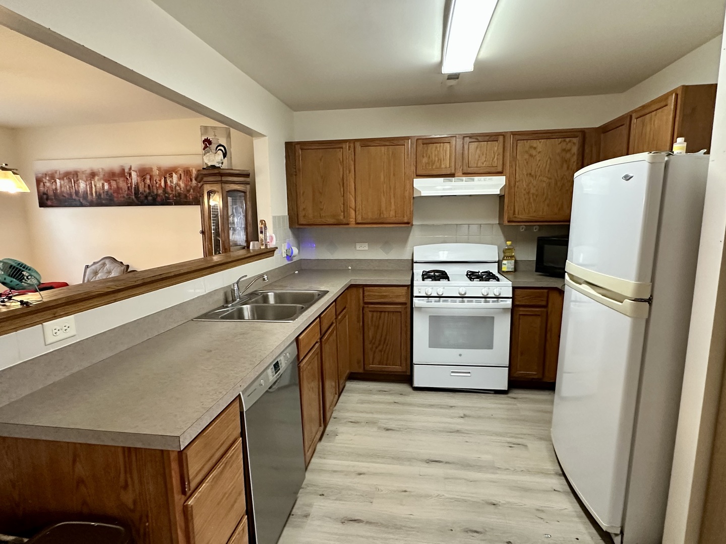 1033 Serendipity Drive Aurora IL 60504
