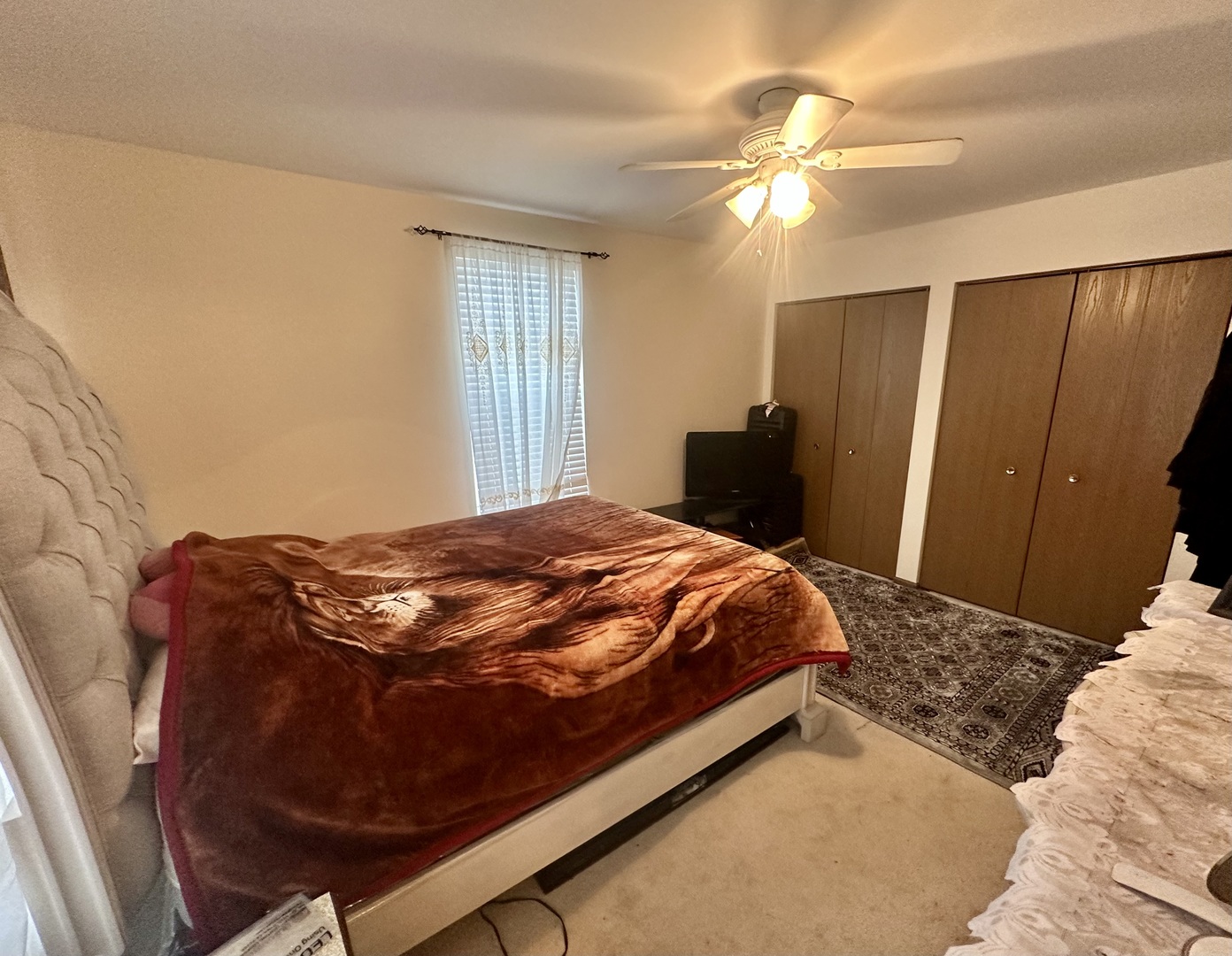 1033 Serendipity Drive Aurora IL 60504
