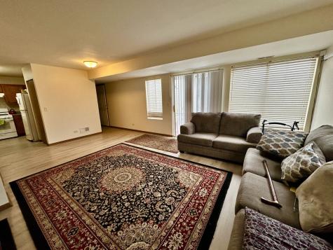 1033 Serendipity Drive Aurora IL 60504