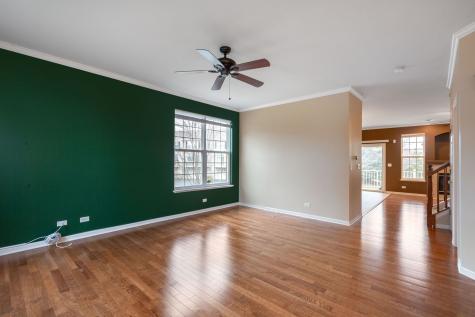 787 Thornbury Court Bartlett IL 60103