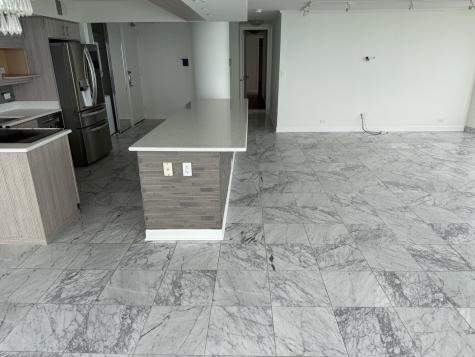 505 North Lake Shore Drive Chicago IL 60611
