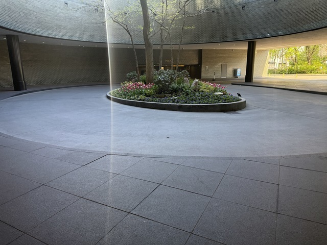505 North Lake Shore Drive Chicago IL 60611