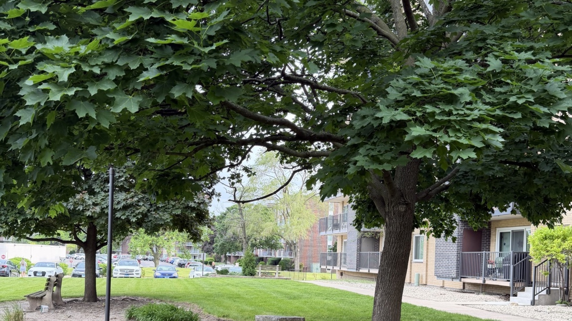 5400 Walnut Avenue Downers Grove IL 60515