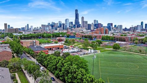 1033 West 14th Place Chicago IL 60608