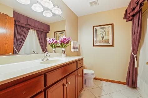 6230 Misty Pines Drive Tinley Park IL 60477