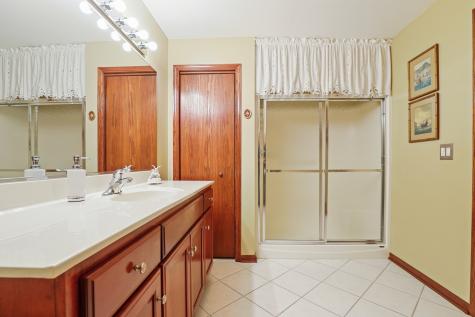 6230 Misty Pines Drive Tinley Park IL 60477