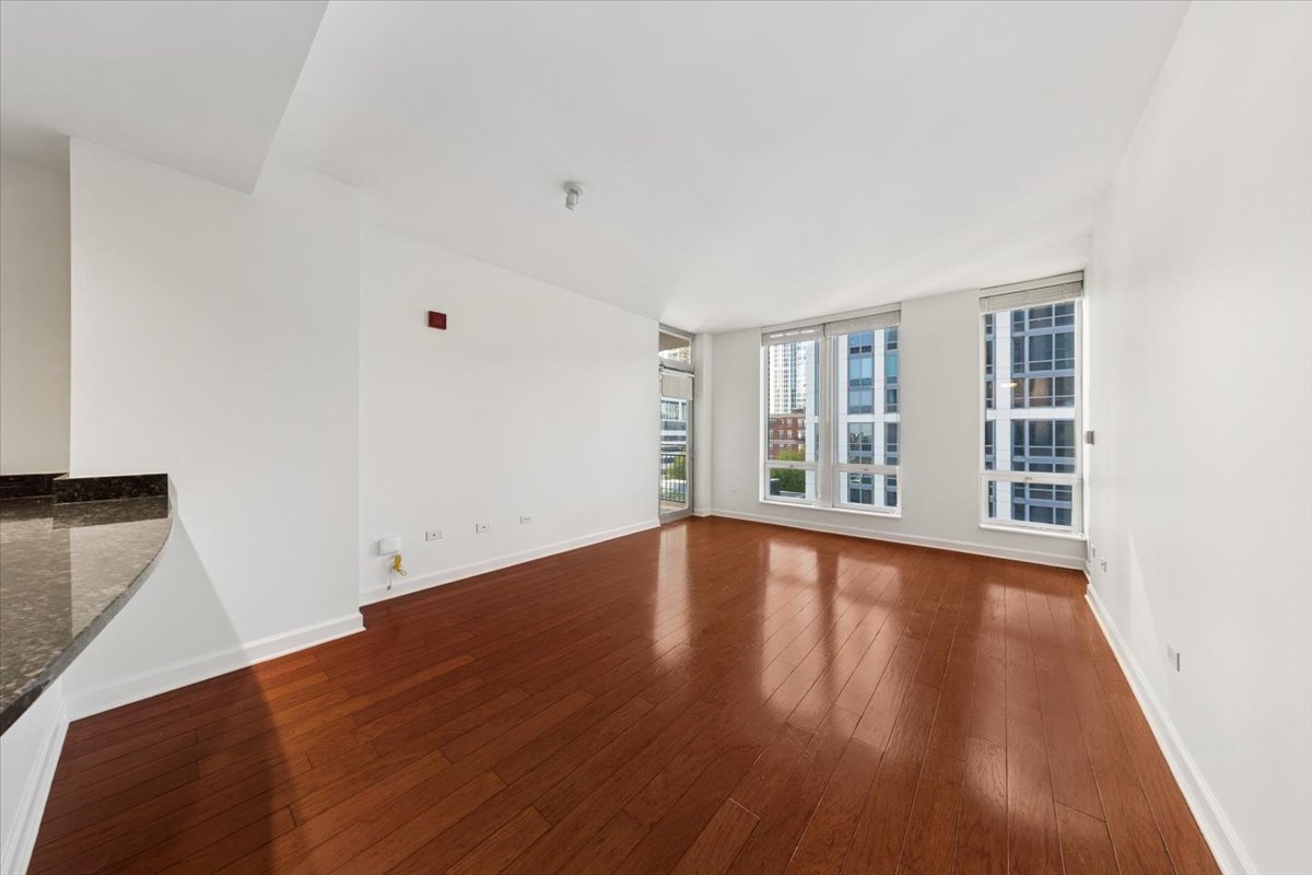 1250 South Michigan Avenue Chicago IL 60605