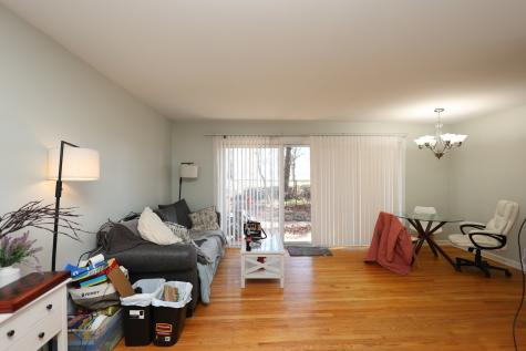 10115 Old Orchard Court Skokie IL 60076
