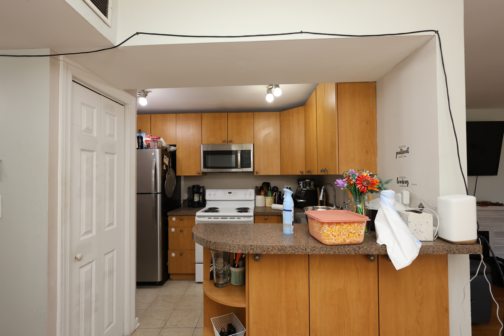 10115 Old Orchard Court Skokie IL 60076