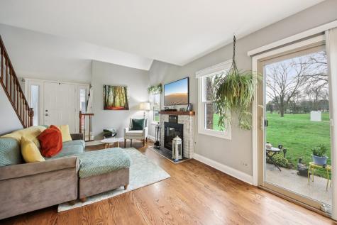 149 South Stonington Drive Palatine IL 60074