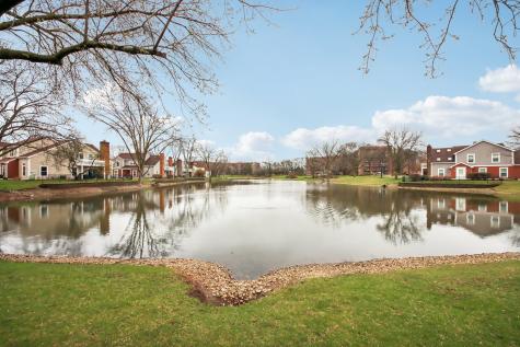 149 South Stonington Drive Palatine IL 60074
