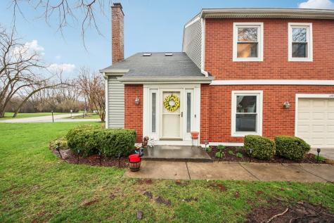 149 South Stonington Drive Palatine IL 60074