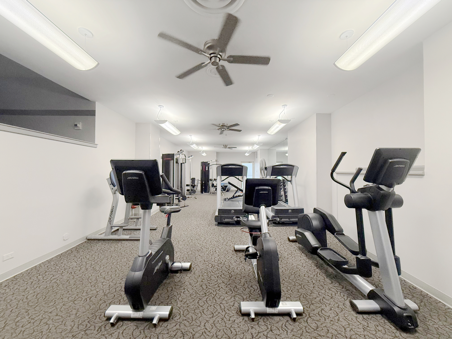 6301 North Sheridan Road Chicago IL 60660