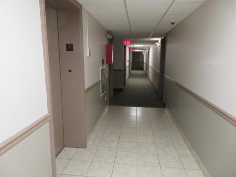 7234 West North Avenue Elmwood Park IL 60707