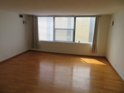 7234 West North Avenue Elmwood Park IL 60707