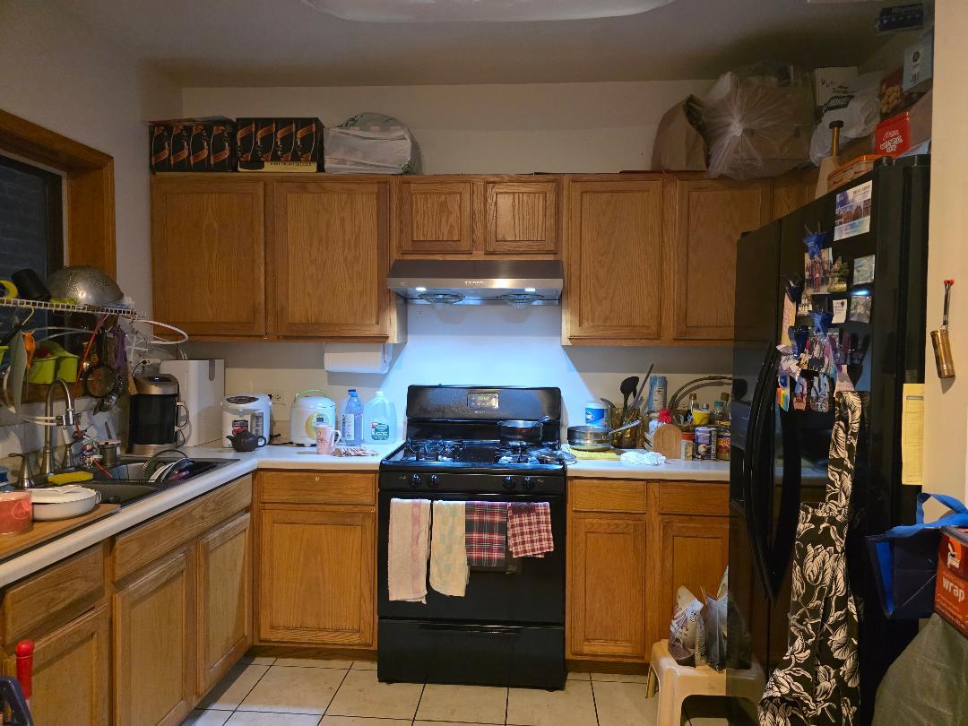 266 West 24th Place Chicago IL 60616