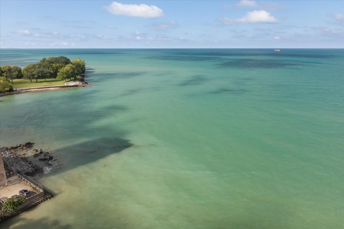 7321 South South Shore Drive Chicago IL 60649