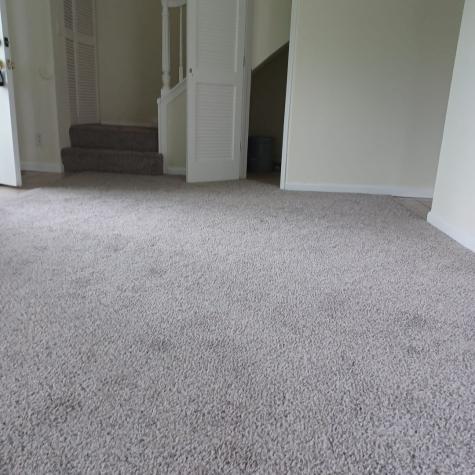 9 Fernwood Drive Bolingbrook IL 60440