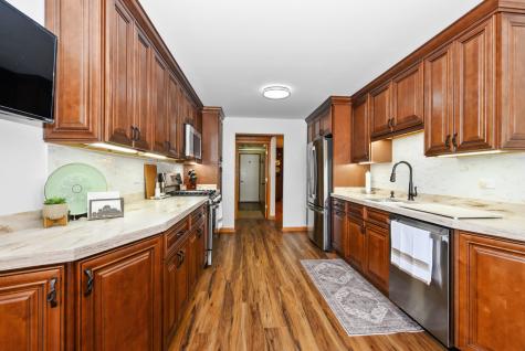 19 Saint Moritz Drive Palos Park IL 60464