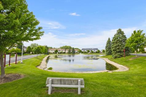19 Saint Moritz Drive Palos Park IL 60464